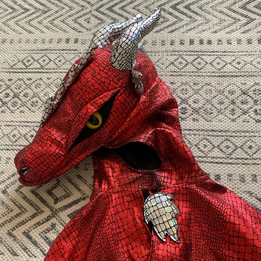 Child’s deluxe dragon cape costume